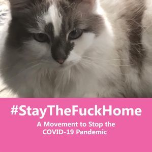 Meet your Posher, Dee-ann